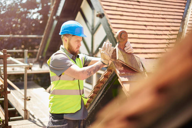 Quick and Trustworthy Emergency Roof Repair Services in Nacogdoches, TX